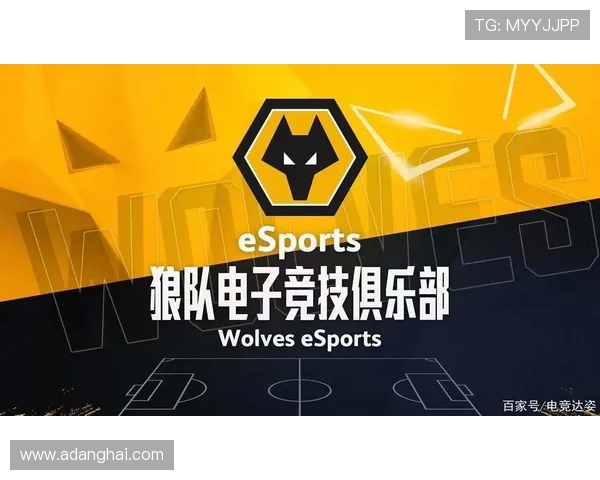 提升战队实力的秘诀：深入解析PA电子竞技俱乐部的训练体系